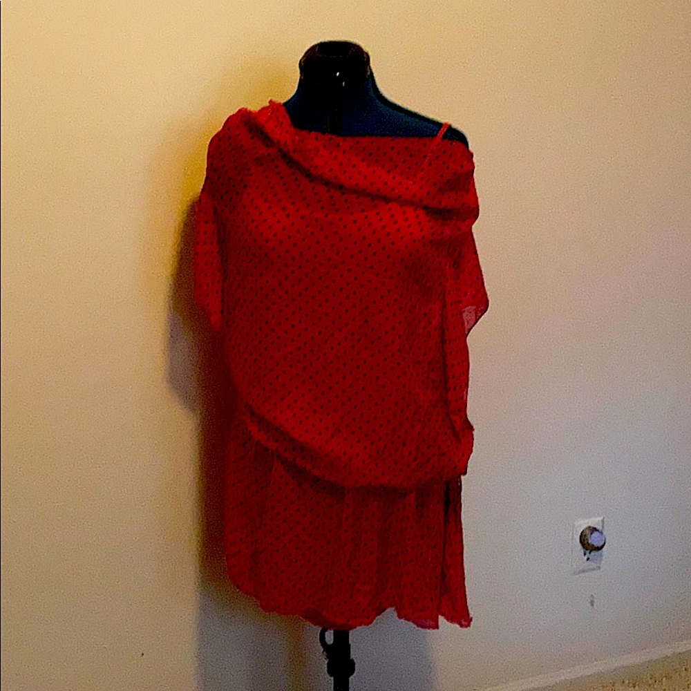 Italian 2 piece sheer silky dress.